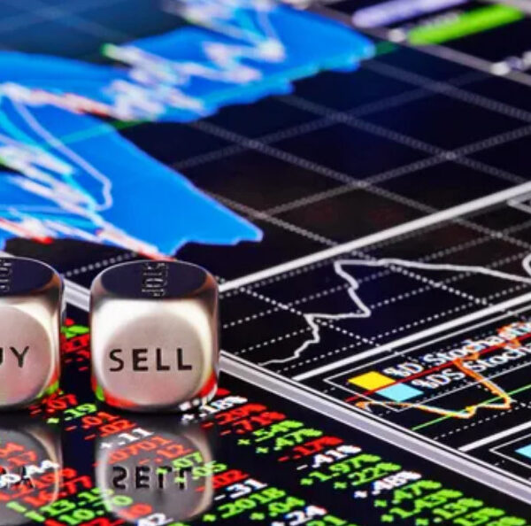 Fundamental Insights: Key Stock Market Basics for Novice Investors